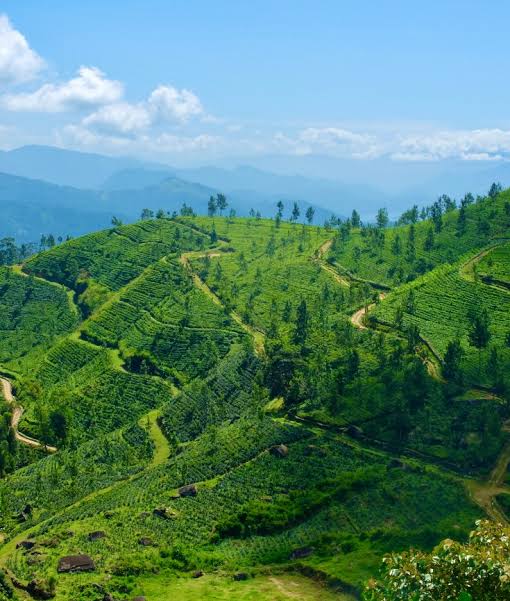 Central Highlands